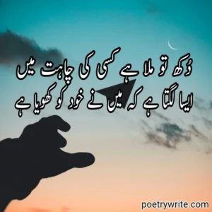 Read more about the article Urdu Text Poetry 100+ Poetry Lines Daily Added