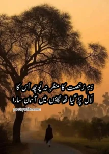 Read more about the article Best 150+ Urdu Poetry 2 Lines Collection