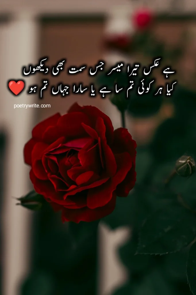 Love Poetry In Urdu 