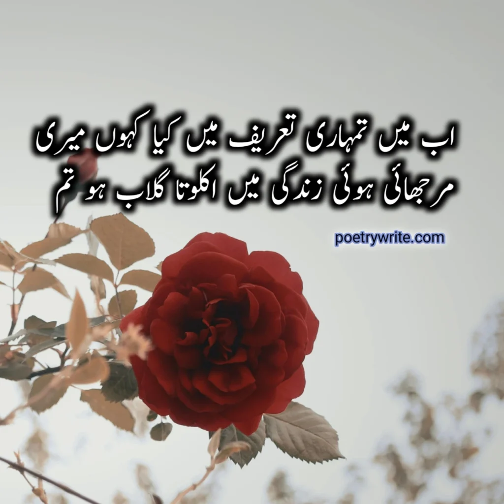 Love Poetry In Urdu Text