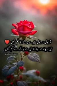 Read more about the article Best 175+ Love Poetry In Urdu -2 Lines Verses