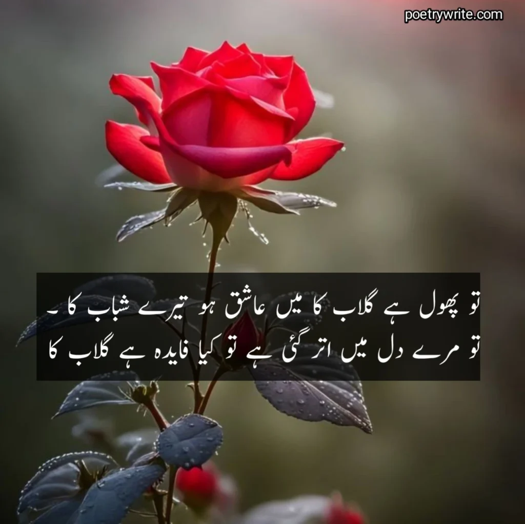 Ishq E Haqiqi Poetry in Urdu
