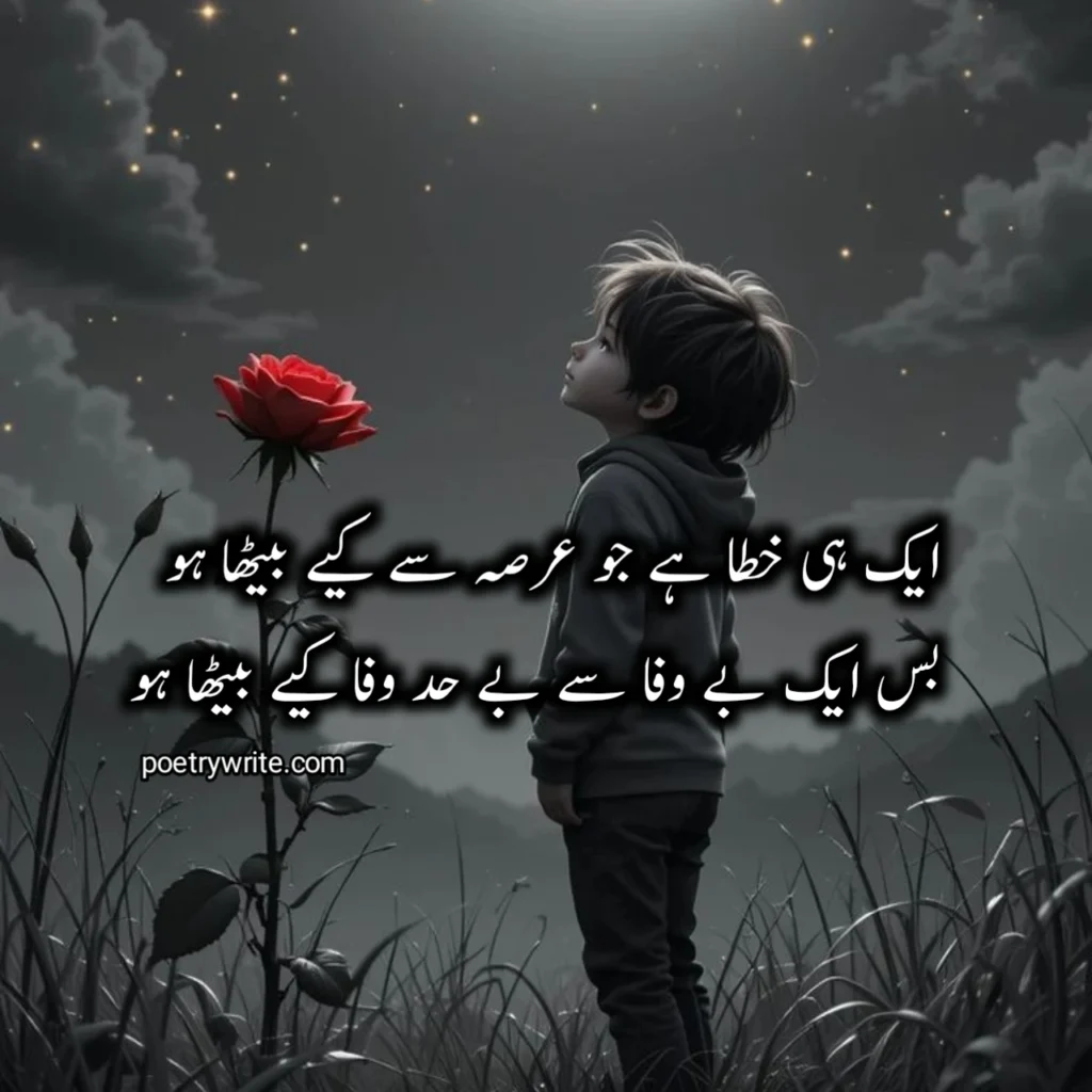 2 Line bewafa shayari Urdu text
